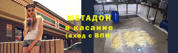 сатива Беломорск