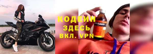 сатива Беломорск