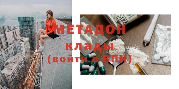 сатива Беломорск