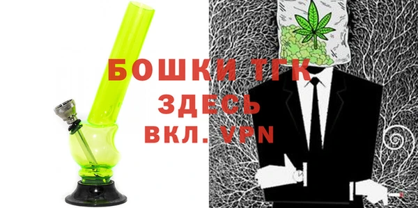 сатива Беломорск